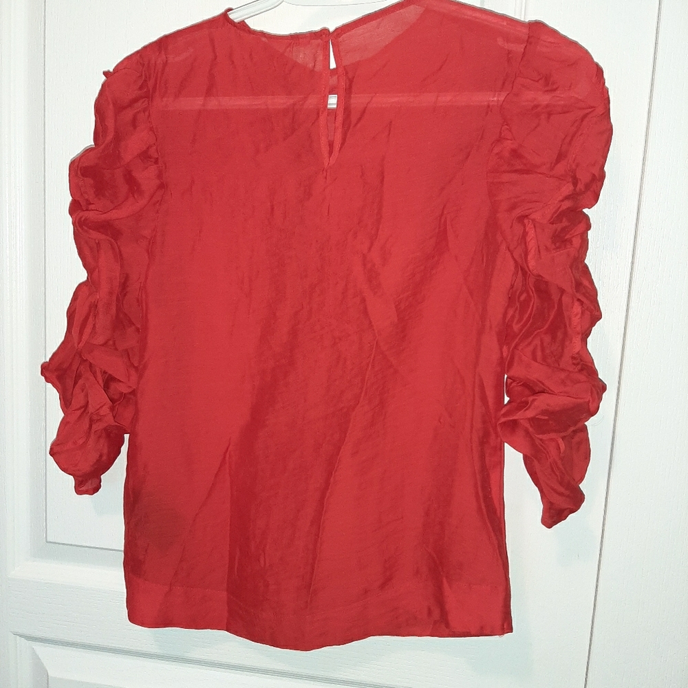 Exaggerated Ruffled sheer blouse top/ New without tags